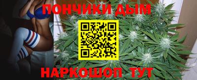 индика Анапа