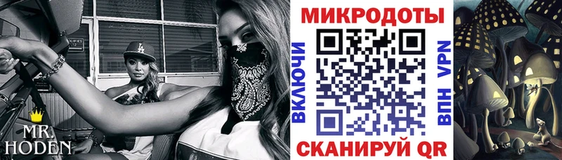 Псилоцибиновые грибы Psilocybe  купить   Краснотурьинск 