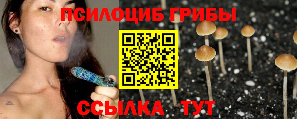 Псилоцибиновые грибы Psilocybe  Галлюциногенные грибы GOLDEN TEACHER  цены   Краснотурьинск  Вход с VPN 