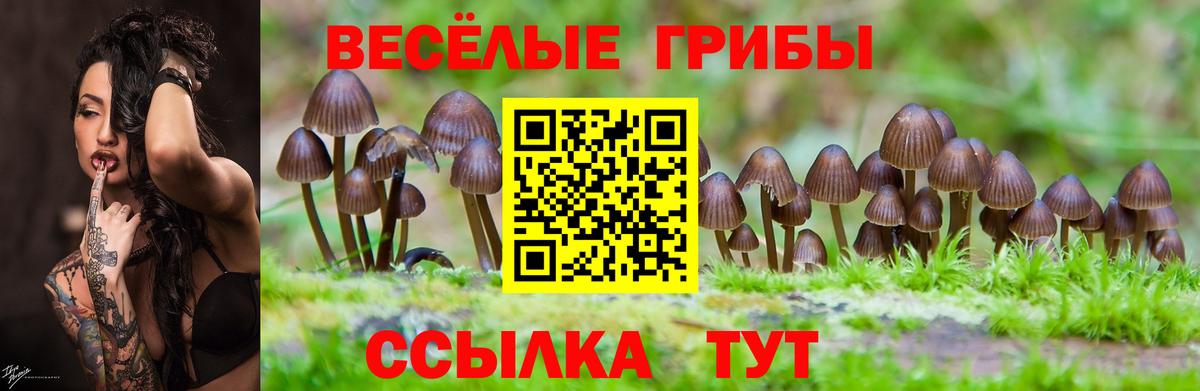  Cocaine Краснотурьинск